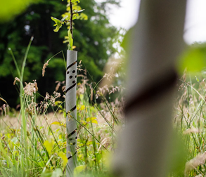 Andermatt and GreenSecure announce collaboration for sustainable tree and vine products in UK market 