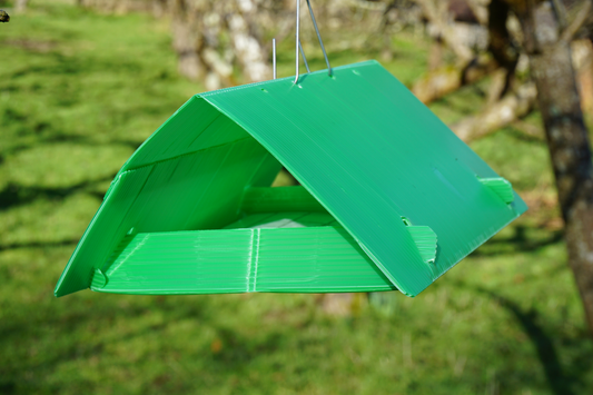 Why use pheromone monitoring traps in tree crops?