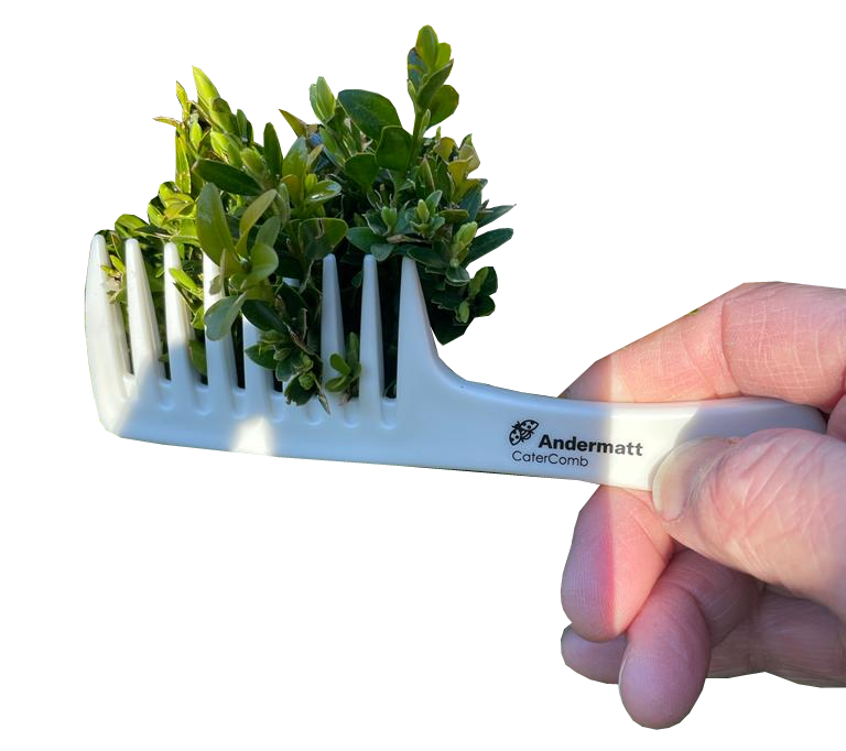 CaterComb Box Moth Caterpillar Comb x20