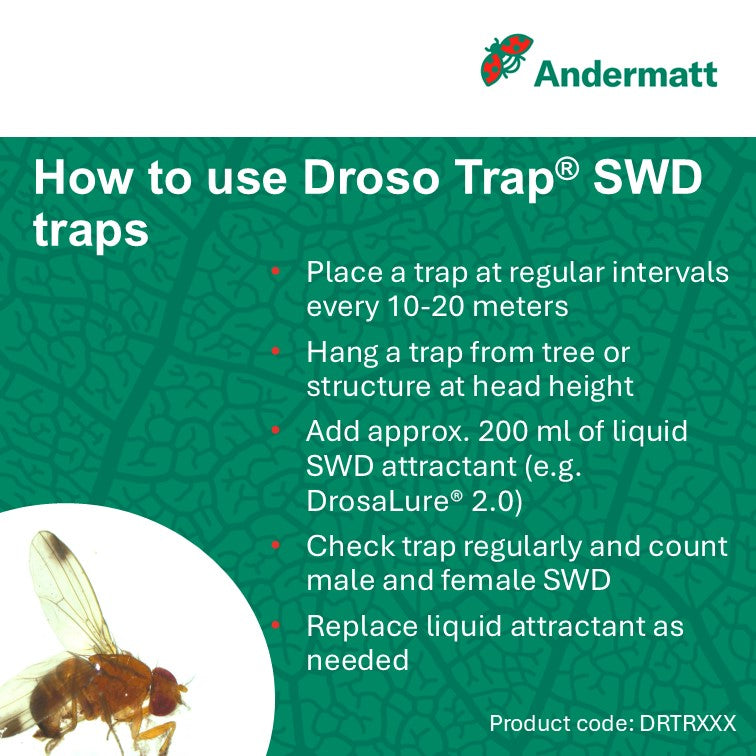 Droso Trap