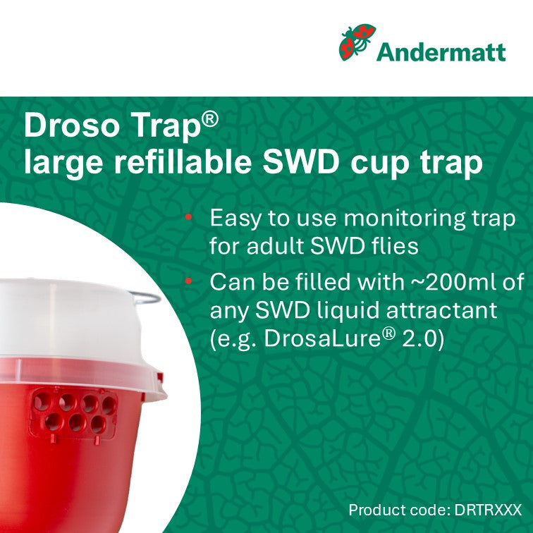 Droso Trap
