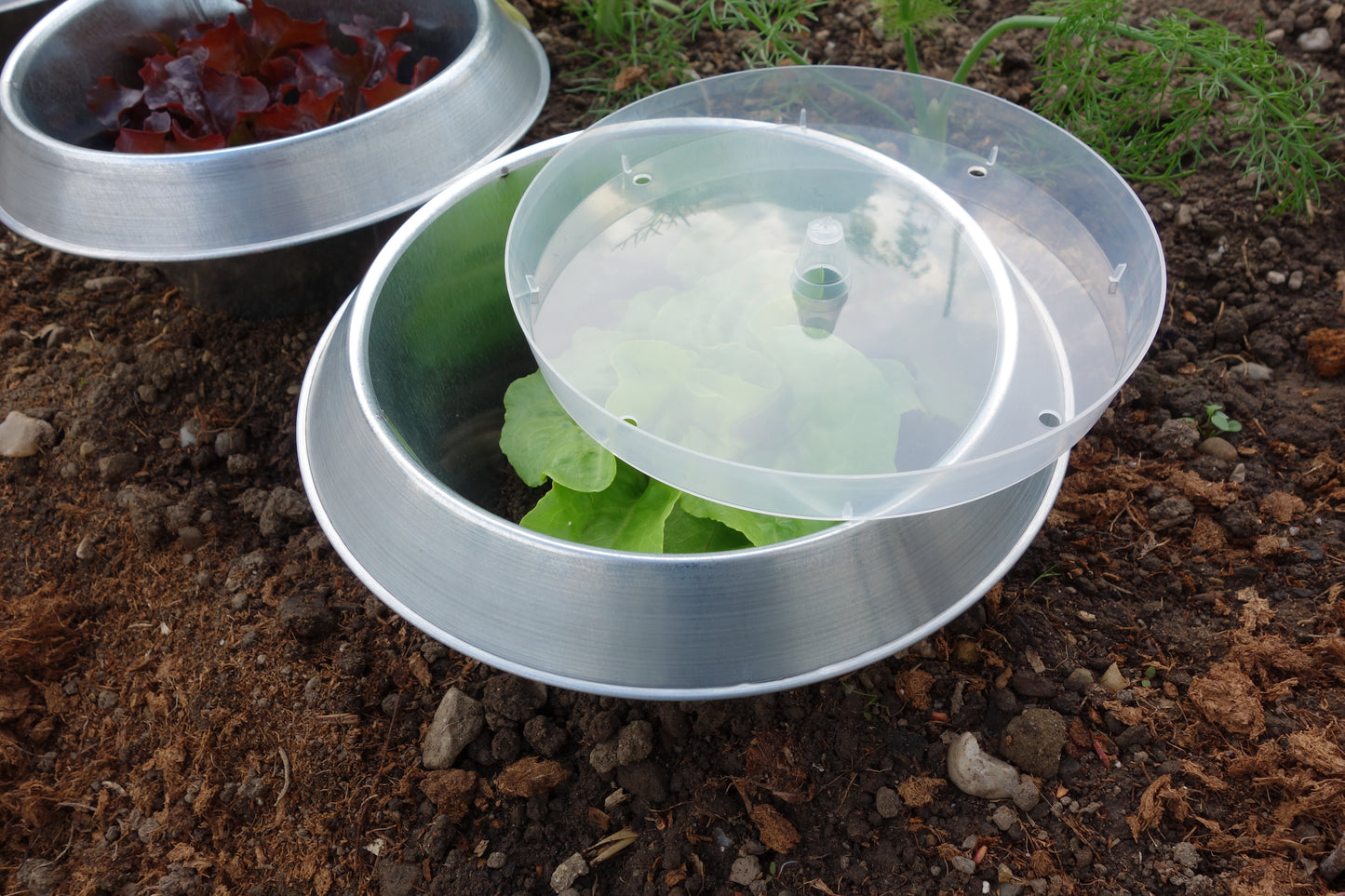 Micro greenhouse roof (x6) x6