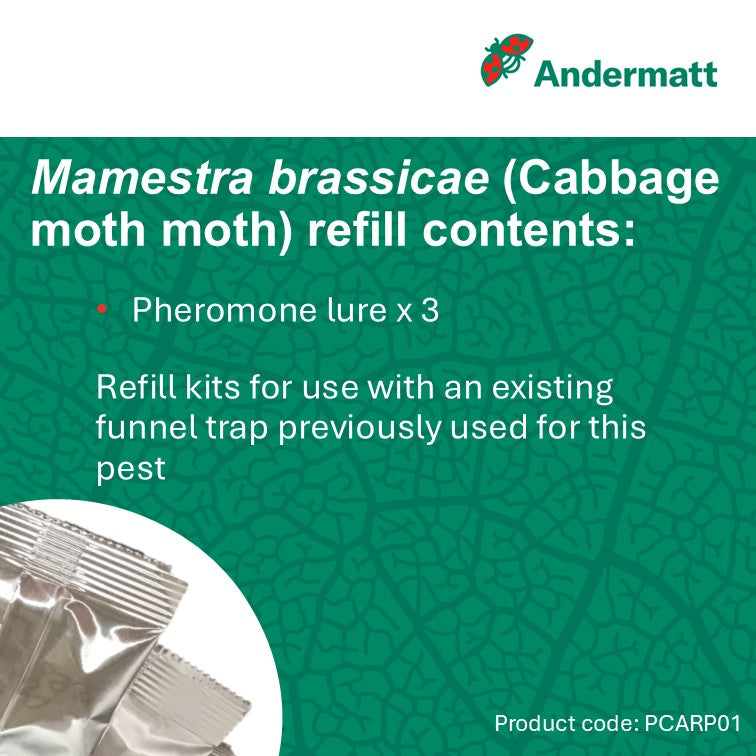 Cabbage moth (Mamestra brassicae) Refill