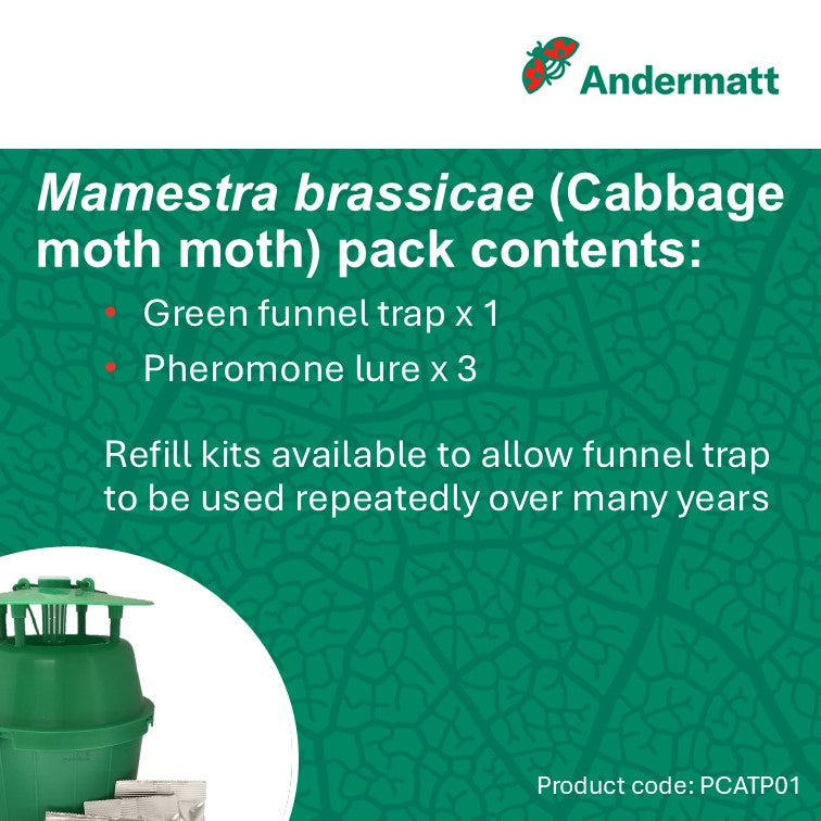 Cabbage moth (Mamestra brassicae) Trap