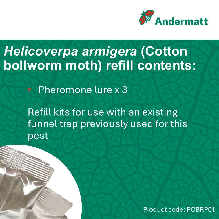 Cotton Bollworm Moth (Helicoverpa armigera) Trap Refill