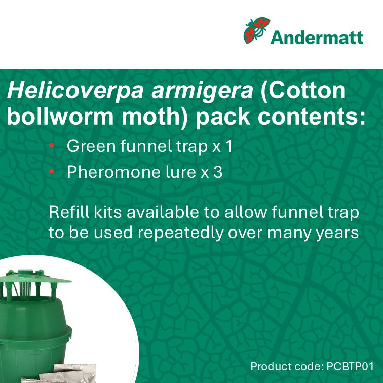 Cotton Bollworm Moth (Helicoverpa armigera) Trap