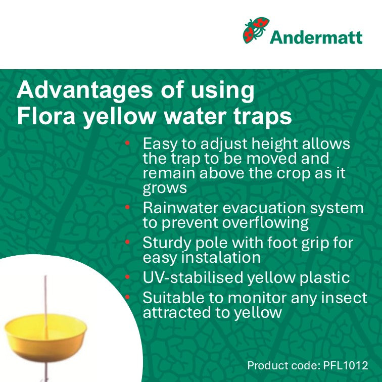Flora aphid water trap 1m (box of 12 traps)