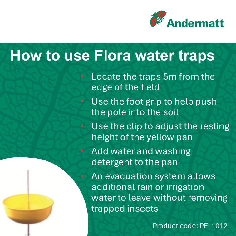 Flora aphid water trap 1m (box of 12 traps)