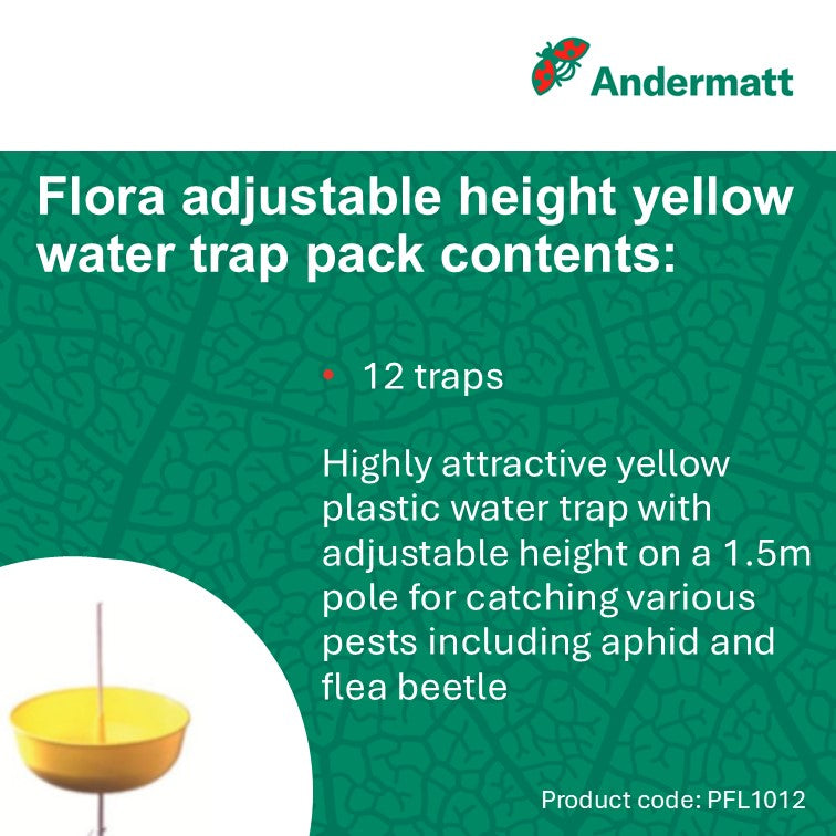 Flora aphid water trap 1m (box of 12 traps)