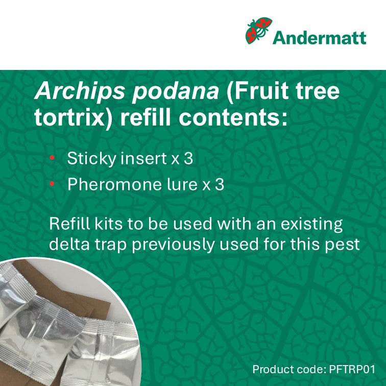 Fruit Tree Tortrix (Archips podana) Refill