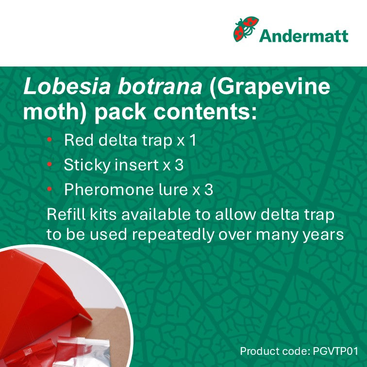 Grapevine Moth (Lobesia botrana) Trap