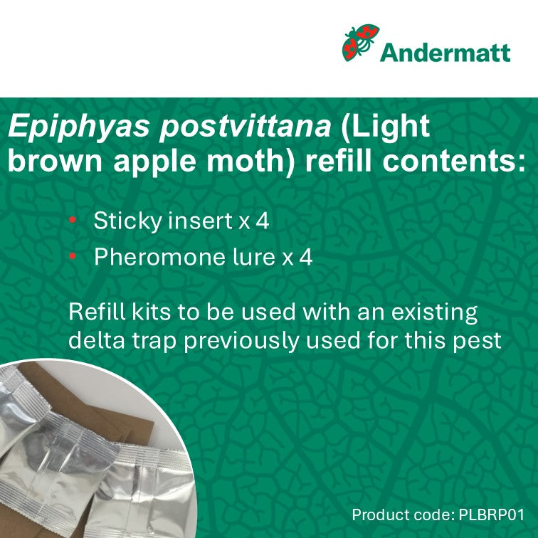 Light Brown Apple Moth (Epiphyas postvittana) Trap Refill