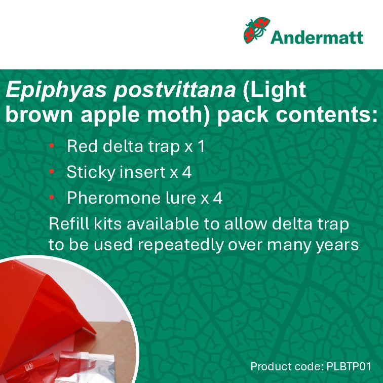 Light Brown Apple Moth (Epiphyas postvittana) Trap