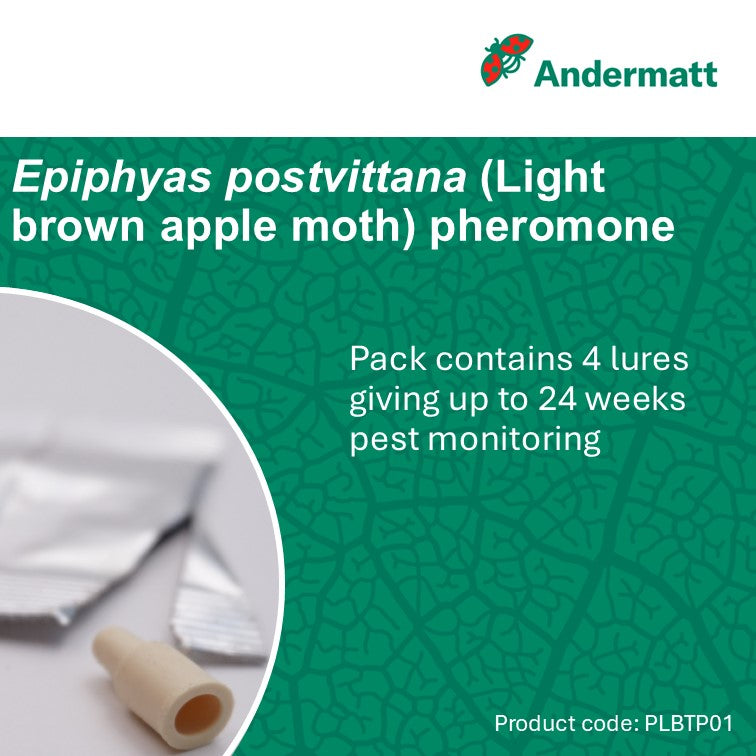Light Brown Apple Moth (Epiphyas postvittana) Trap