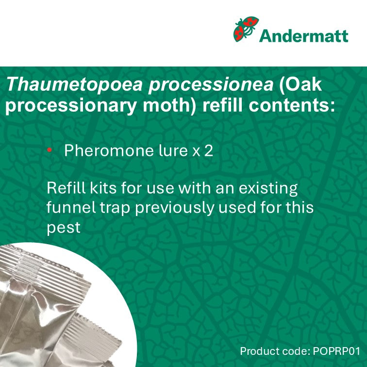 Oak Processionary Moth (Thaumetopoea processionea) Refill