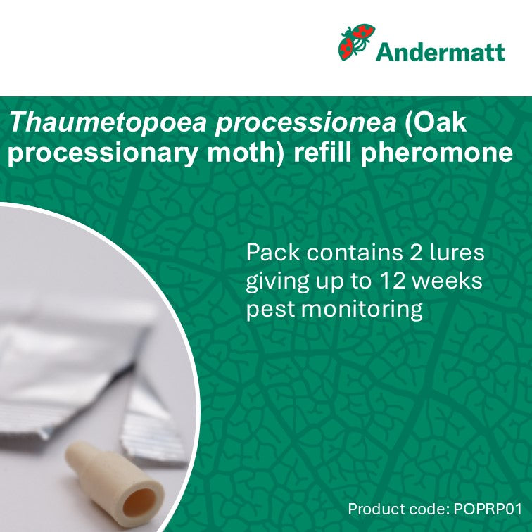 Oak Processionary Moth (Thaumetopoea processionea) Refill