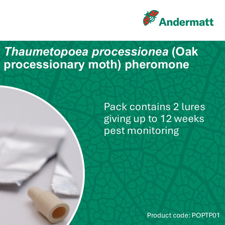Oak Processionary Moth (Thaumetopoea processionea) Trap