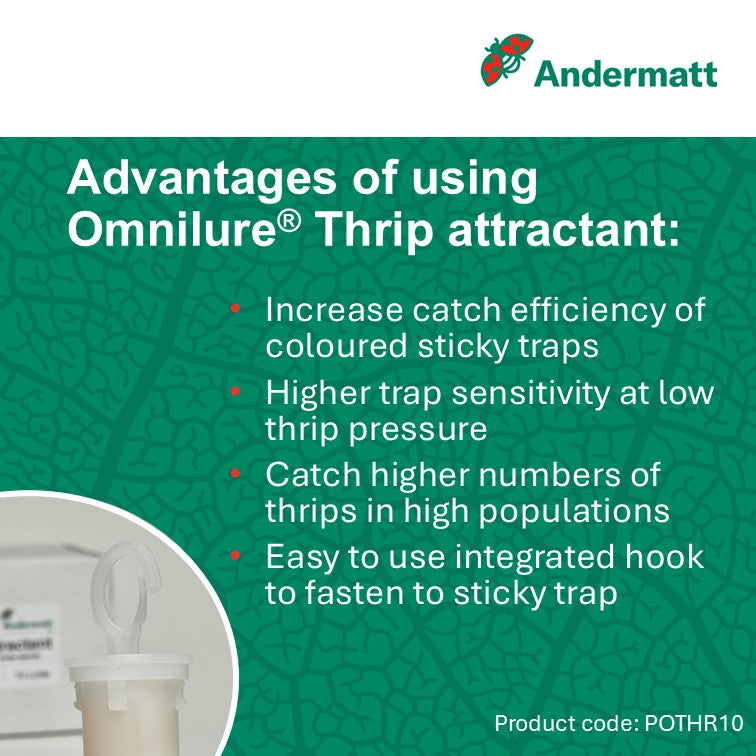 OmniLure Thrip Attractant (x10)