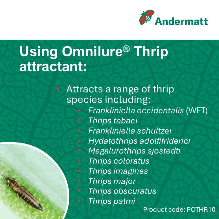 OmniLure Thrip Attractant (x10)