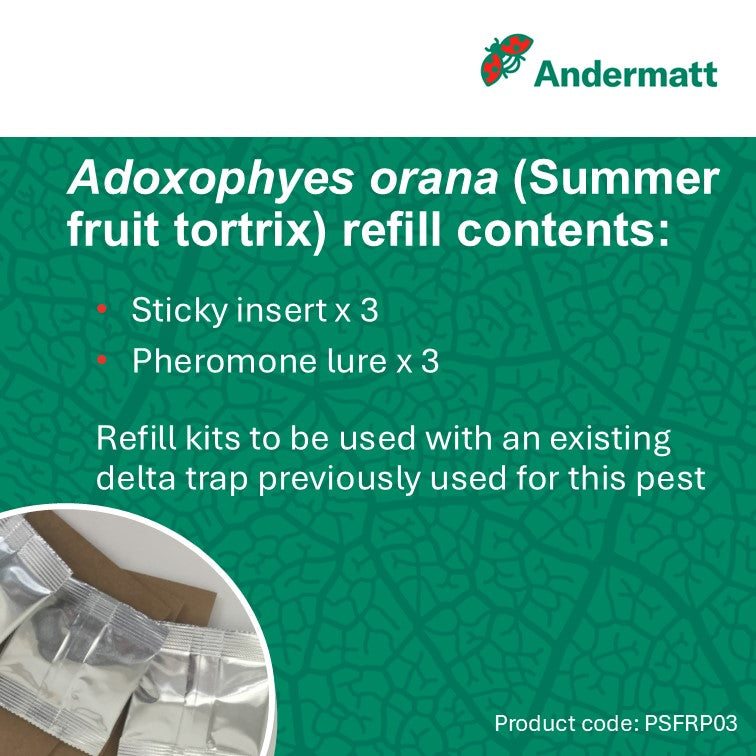 Summer Fruit Tortrix (Adoxophyes orana) Refill
