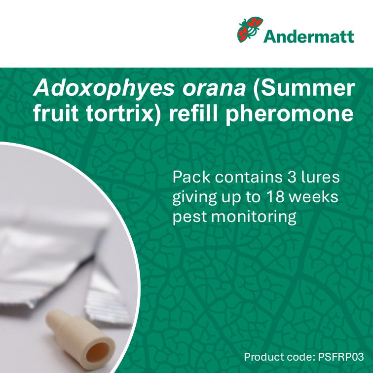 Summer Fruit Tortrix (Adoxophyes orana) Refill