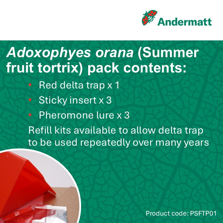 Summer Fruit Tortrix (Adoxophyes orana) Trap
