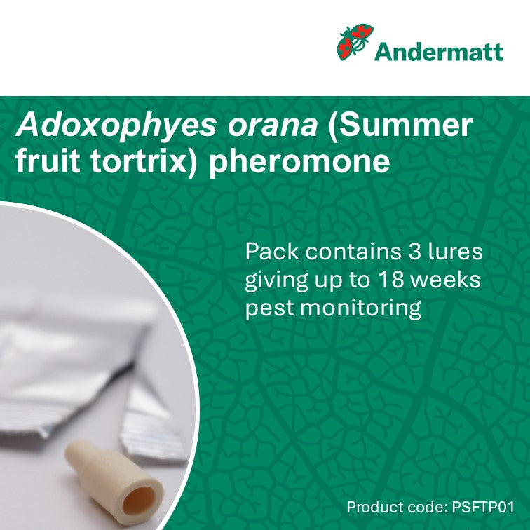 Summer Fruit Tortrix (Adoxophyes orana) Trap