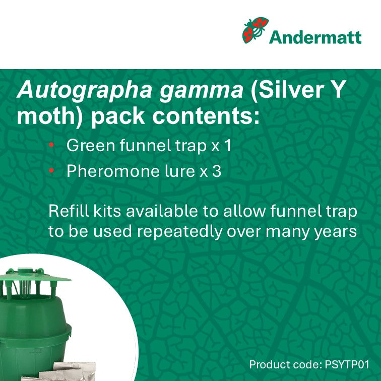 Silver Y Moth (Autographa gamma) Trap