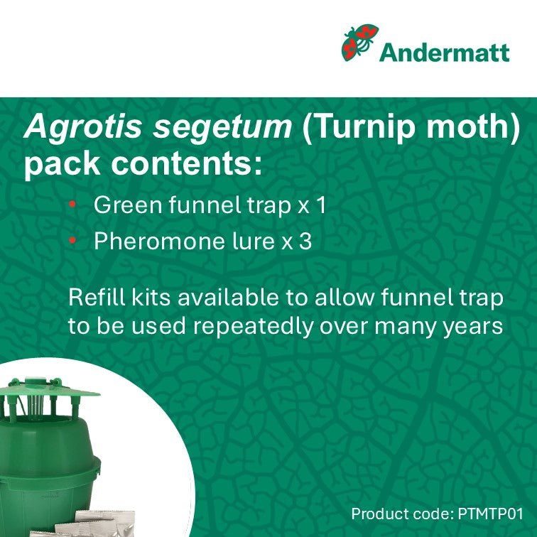 Turnip Moth (Agrotis segetum) Trap