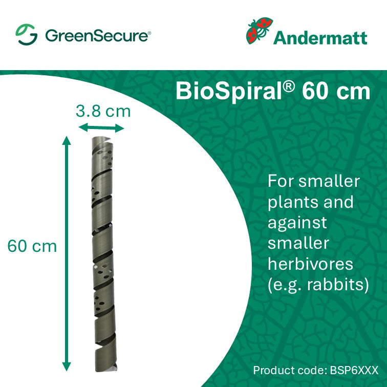 BioSprial (60cm)