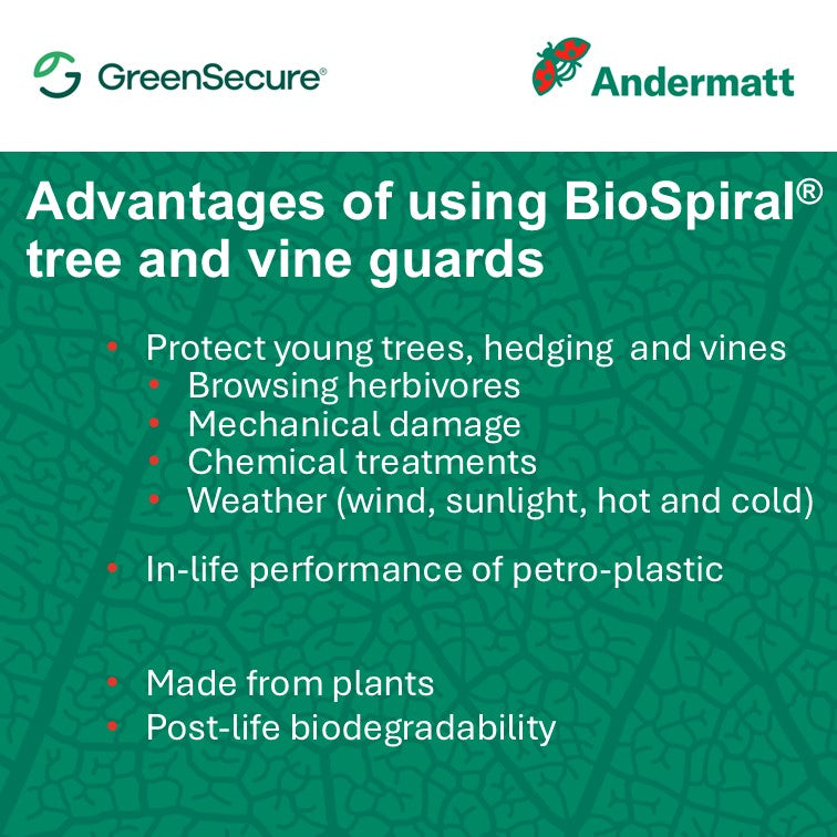 BioSprial (60cm)