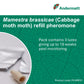 Cabbage moth (Mamestra brassicae) Refill