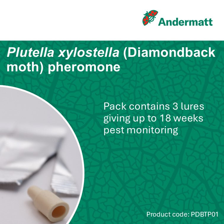Diamondback moth (Plutella xylostella) Trap