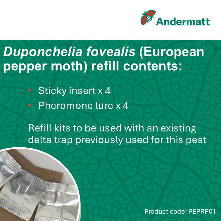 European pepper moth (Duponchelia fovealis) Trap Refill