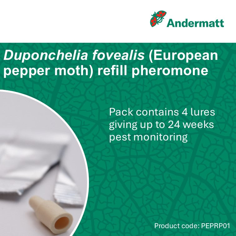 European pepper moth (Duponchelia fovealis) Trap Refill