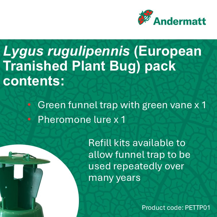 European tarnished plant bug (Lygus rugulipennis) Trap