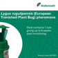European tarnished plant bug (Lygus rugulipennis) Trap
