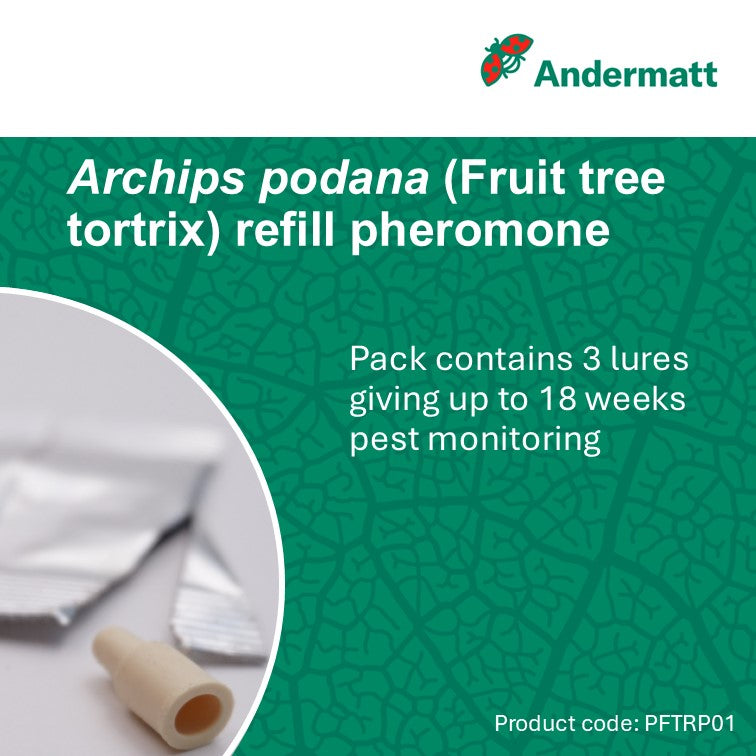 Fruit Tree Tortrix (Archips podana) Refill