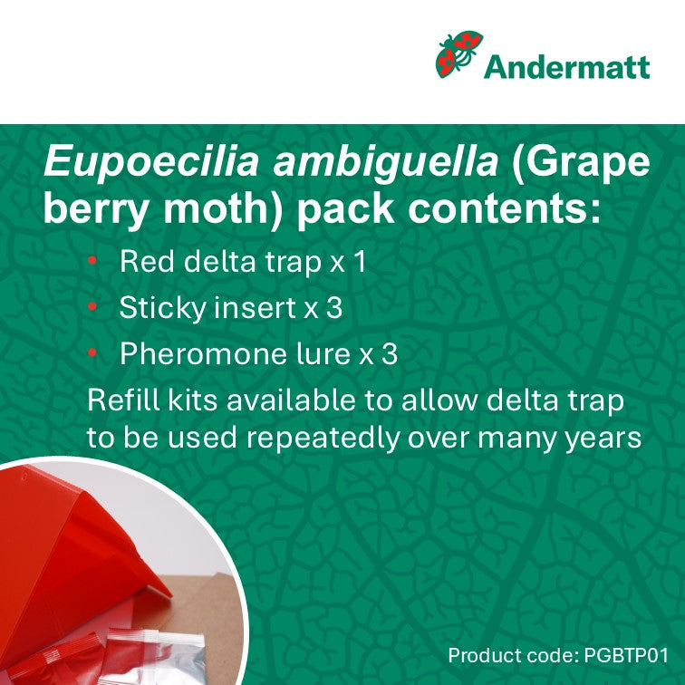 Grape Berry Moth (Eupoecilia ambiguella) Trap