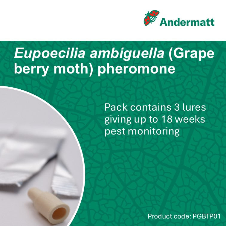 Grape Berry Moth (Eupoecilia ambiguella) Trap