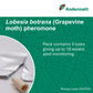 Grapevine Moth (Lobesia botrana) Trap