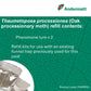 Oak Processionary Moth (Thaumetopoea processionea) Refill