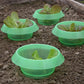 Slug collar - Green Recycled Plastic (x6) x10