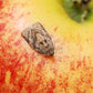 Summer Fruit Tortrix (Adoxophyes orana) Trap