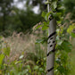 BioSprial (60cm)