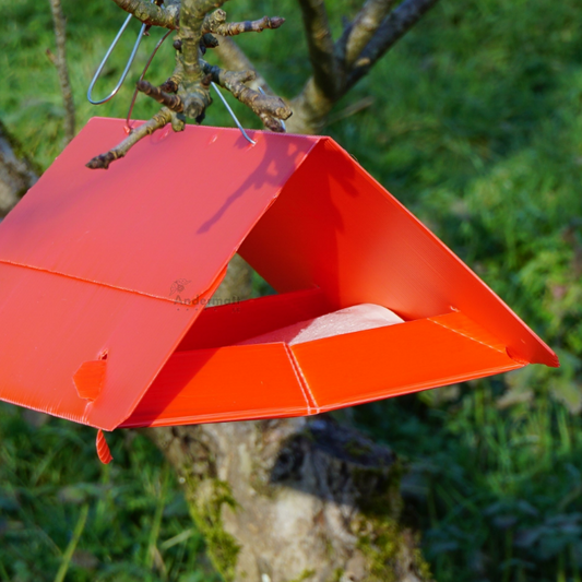 Fruit Tree Tortrix (Archips podana) Trap