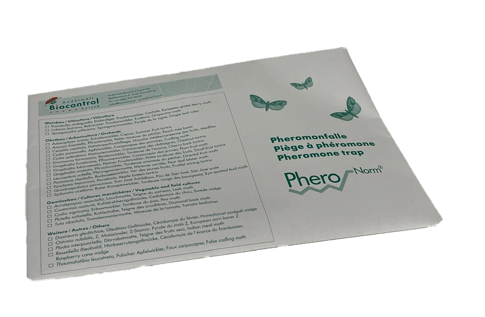 Raspberry Cane Midge (Resseliella theobaldi) Trap